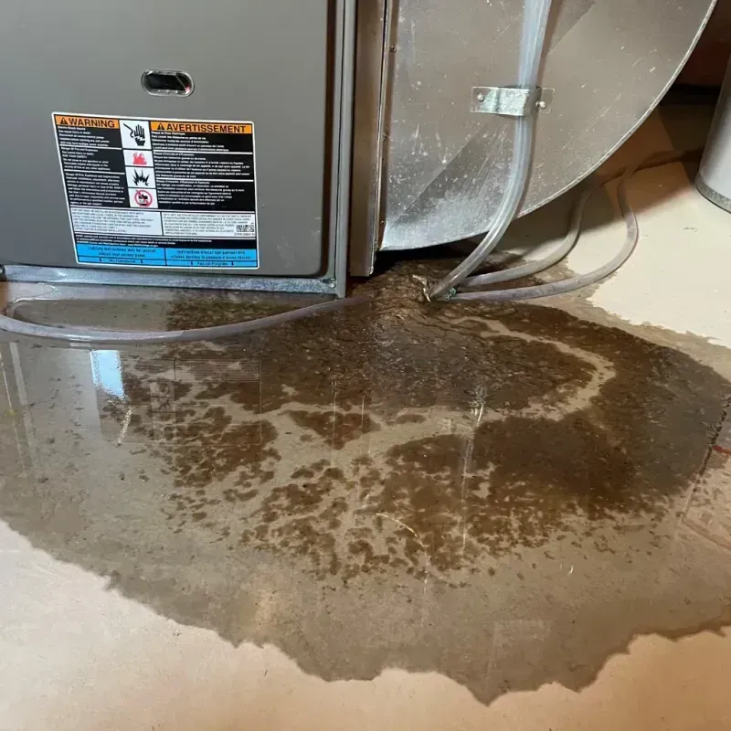 Appliance Leak Cleanup in Holly Ridge, NC